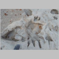 DSCN0961cr overlapping tracks.jpg